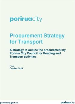 Procurement Strategy for Transport - A strategy to outline the procurement by Porirua City Council for Roading and Transport activities