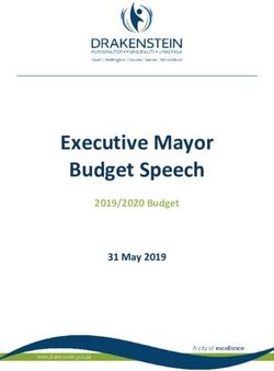 Executive Mayor Budget Speech - 2019/2020 Budget 31 May 2019