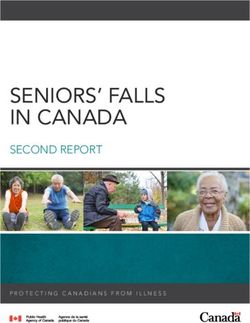 SENIORS' FALLS IN CANADA - SECOND REPORT