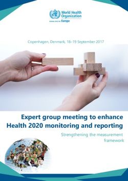 Strengthening the measurement framework - Expert group meeting to enhance Health 2020 monitoring and reporting - WHO/Europe
