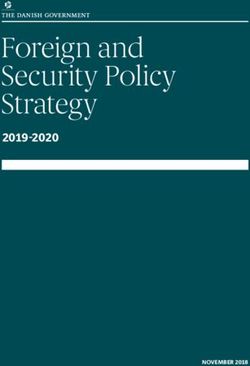 Foreign and Security Policy Strategy 2019-2020 - NOVEMBER 2018 - DSN
