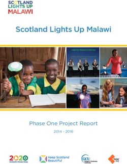 Scotland Lights Up Malawi - Phase One Project Report 2014 2016 - Keep Scotland Beautiful
