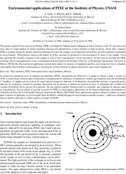 Environmental applications of PIXE at the Institute of Physics, UNAM