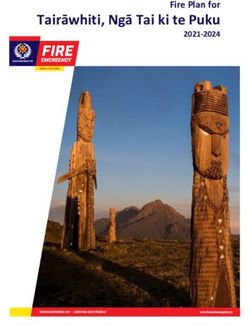 Tairāwhiti, Ngā Tai ki te Puku - Fire Plan for - Fire and Emergency New Zealand