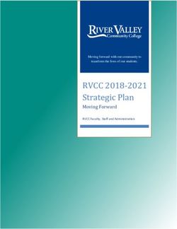 RVCC 2018-2021 Strategic Plan - Moving Forward - River Valley Community ...