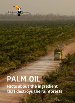 Palm oil Facts about the ingredient that destroys the rainforests - Rainforest Rescue