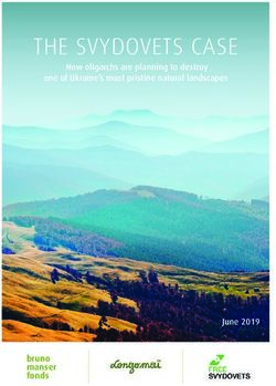 THE SVYDOVETS CASE - bruno manser - Bruno Manser Fonds