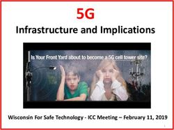 5G Infrastructure and Implications - Wisconsin For Safe Technology - ICC Meeting - February 11, 2019