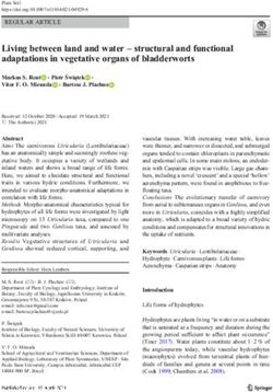 Living between land and water - structural and functional adaptations in vegetative organs of bladderworts