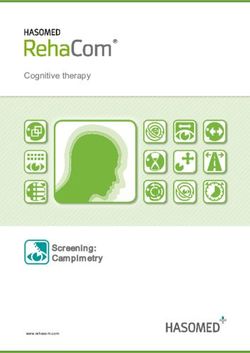 Cognitive therapy - Screening: Campimetry www.rehacom.com - HASOMED GmbH