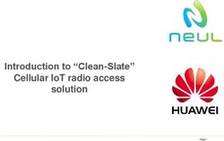 INTRODUCTION TO "CLEAN-SLATE" CELLULAR IOT RADIO ACCESS SOLUTION