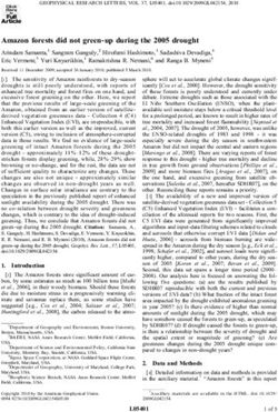 Amazon forests did not green up during the 2005 drought