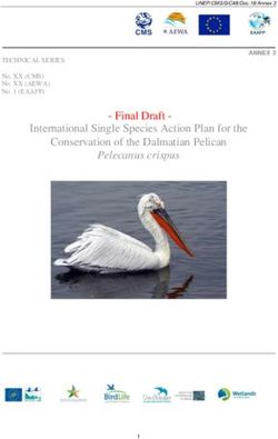 Final Draft - International Single Species Action Plan for the Conservation of the Dalmatian Pelican - Pelecanus crispus - CMS