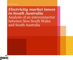 Electricity market issues in South Australia Analysis of an interconnector between New South Wales and South Australia - TransGrid