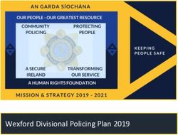 Wexford Divisional Policing Plan 2019 - Garda.ie