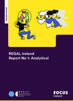 REGAL Ireland Report No 1: Analytical Dublin