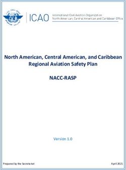 NACC-RASP North American, Central American, and Caribbean Regional Aviation Safety Plan - Version 1.0 - ICAO