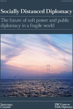 Socially Distanced Diplomacy - The Future Of Soft Power And Public ...