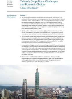 Taiwan's Geopolitical Challenges and Domestic Choices