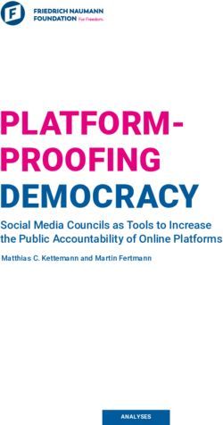 PLATFORM-PROOFING DEMOCRACY - Social Media Councils as Tools to Increase the Public Accountability of Online Platforms - Friedrich-Naumann ...