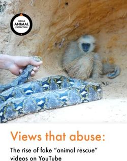 Views that abuse: The rise of fake "animal rescue" videos on YouTube