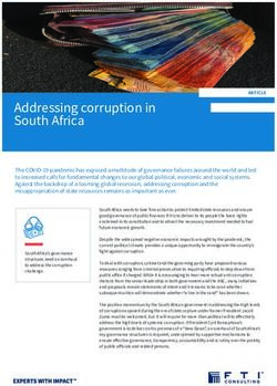 corruption in south africa essay pdf