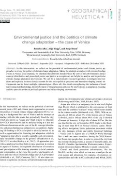 Environmental justice and the politics of climate change adaptation - the case of Venice - GH