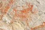 Blue Whales and Cave Paintings - February 27 - March 6, 2022 8 Day Expedition La Paz/Loreto, Baja California Sur, Mexico - Panterra