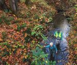 2022 IMPACT REPORT Celebrating 50 Years of the Clean Water Act - www.pugetsoundkeeper.org - Puget Soundkeeper Alliance