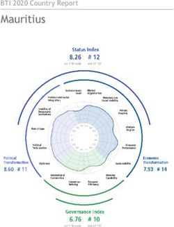 Mauritius BTI 2020 Country Report - Bertelsmann Transformation Index