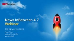 NEWS INBETWEEN 4.7 WEBINAR - 26TH NOVEMBER 2020 PETER FLORY MICHAEL CHRISTOFFEL VARVARA WULF