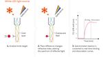 The White FOx FOx BIOSYSTEMS - Innovative fiber-optic-based surface plasmon resonance combining the performance of SPR with the ease of use of a ...