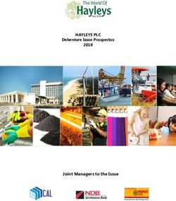 HAYLEYS PLC - Joint Managers to the Issue - Debenture Issue Prospectus 2018