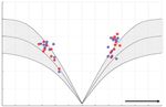 Acute Acquired Concomitant Esotropia in Anti-GQ1b-Antibody Syndrome