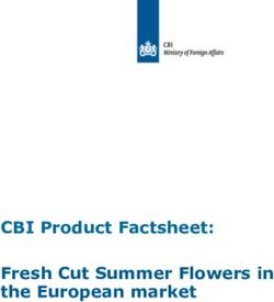 CBI Product Factsheet: Fresh Cut Summer Flowers in the European market