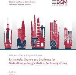 Rising Asia: Chance and Challenge for Berlin-Brandenburg's Medical Technology Firms
