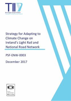 Strategy for Adapting to Climate Change on Ireland's Light Rail and National Road Network - PSF-ENW-0003 December 2017