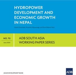 HYDROPOWER DEVELOPMENT AND ECONOMIC GROWTH IN NEPAL - ADB SOUTH ASIA WORKING PAPER SERIES