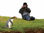 AUCKLAND ISLANDS AND THE SNARES - SUBANTARCTIC WONDERLAND EXPEDITION DOSSIER 6 - 12 FEBRUARY 2021 - Discover Travel ...