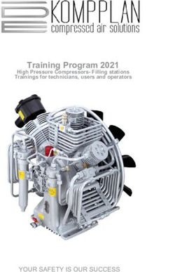 Training Program 2021 - YOUR SAFETY IS OUR SUCCESS - High Pressure Compressors-Filling stations Trainings for technicians, users and operators ...