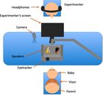 Young Infants' Word Comprehension Given An Unfamiliar Talker or Altered Pronunciations