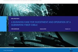 A BUSINESS CASE FOR INVESTMENT AND OPERATION OF A SUBMARINE FIBER CABLE