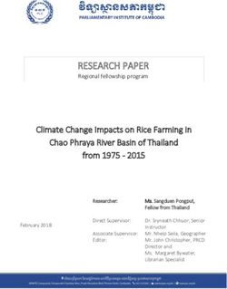 RESEARCH PAPER Regional fellowship program - RESEARCH ...