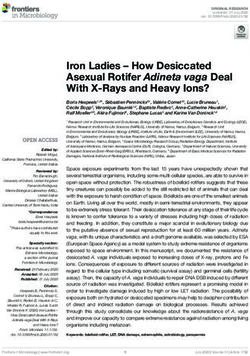 Iron Ladies - How Desiccated Asexual Rotifer Adineta vaga Deal With X-Rays and Heavy Ions? - DLR