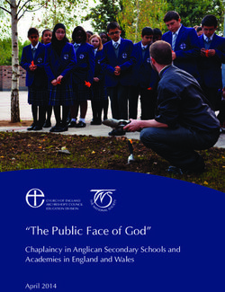 "The Public Face of God" - Chaplaincy in Anglican Secondary Schools and Academies in England and Wales