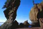 Wonders of the Bay of Fundy - 7 days / 6 nights - 5-continents.ca