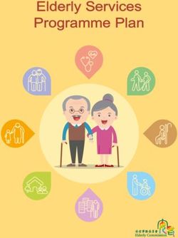 Elderly Services Programme Plan - Elderly Commission