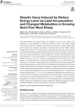 Hepatic Injury Induced by Dietary Energy Level via Lipid Accumulation and Changed Metabolites in Growing Semi-Fine Wool Sheep