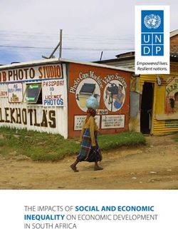 THE IMPACTS OF SOCIAL AND ECONOMIC - INEQUALITY ON ECONOMIC DEVELOPMENT IN SOUTH AFRICA - UNDP