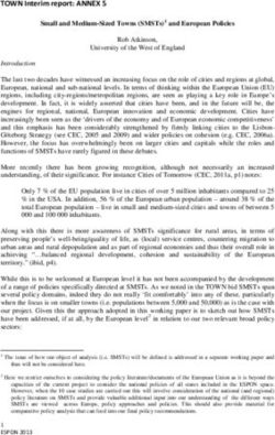 TOWN Interim report: ANNEX 5 - ESPON